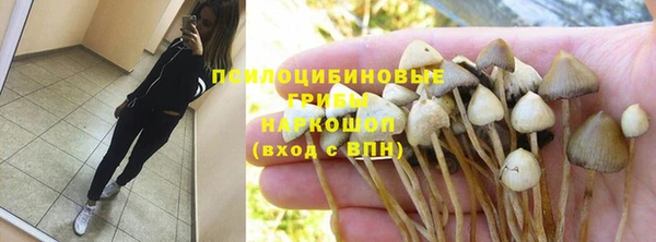 apvp Абаза