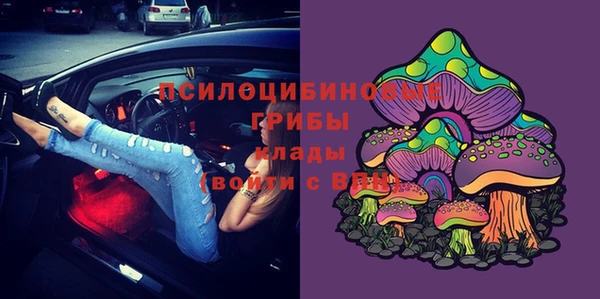 гидропоника Абдулино